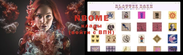 шишки Аркадак