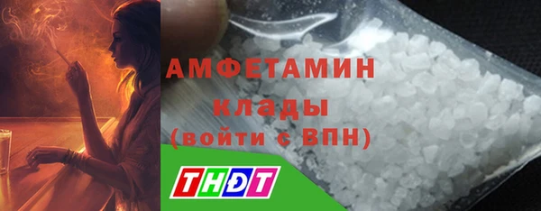 шишки Аркадак