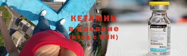 шишки Аркадак