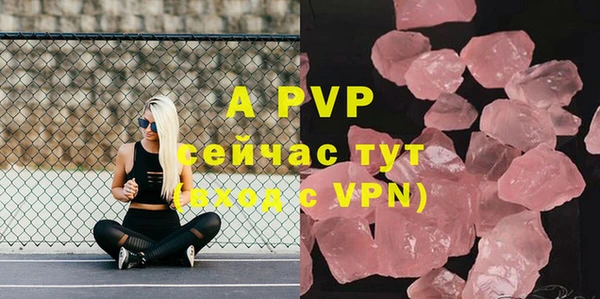 шишки Аркадак
