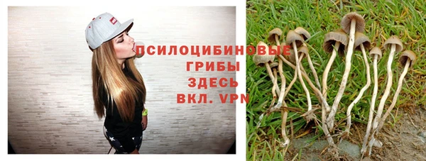 ГАЛЛЮЦИНОГЕННЫЕ ГРИБЫ Семикаракорск