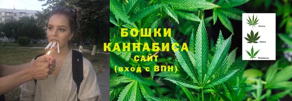твердый Арсеньев