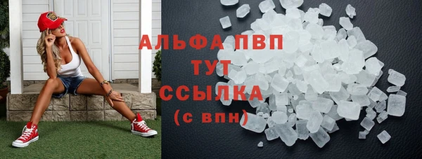 твердый Арсеньев